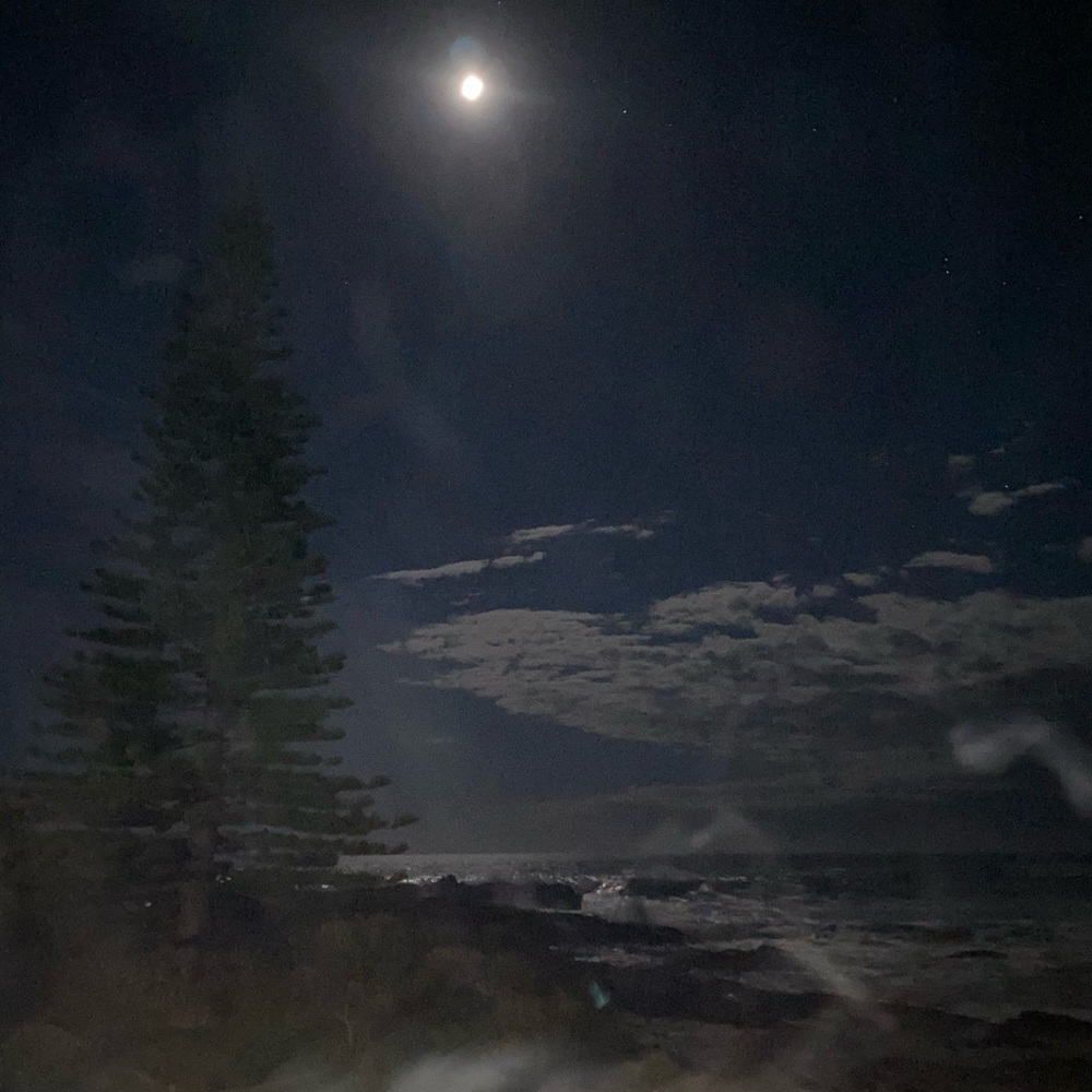 Meet your Posher, Casey